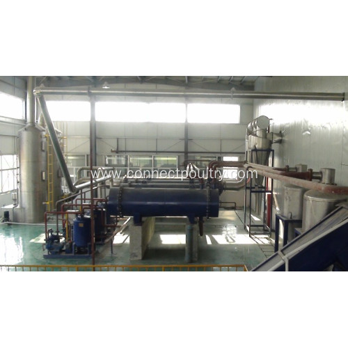 Condensor of rendering plant